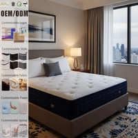 Expédition rapide, fourniture directe d'usine, matelas en mousse Lit Matelas taille Queen pour soulager les maux de dos, prix de gros direct d'usine OEM