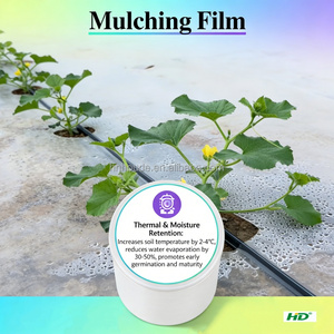 <span class=keywords><strong>Film</strong></span> de paillage agricole noir en plastique, 20 microns - 80 microns, résistant aux UV, en PE, pour l'agriculture maraîchère, service de découpe, marque HD - Vente chaude - Product Image 6