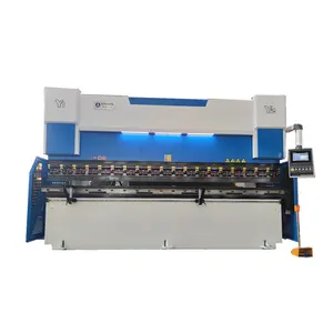 WE67K-250T3200 cnc hydraulic press brake bending machine customized die/tooling with DELM DA53T controller