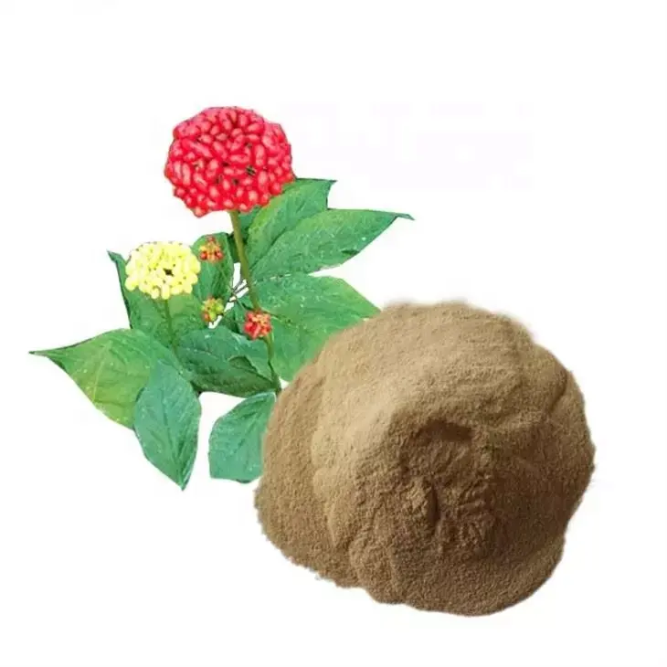 Estratto di bacche di ginseng panax