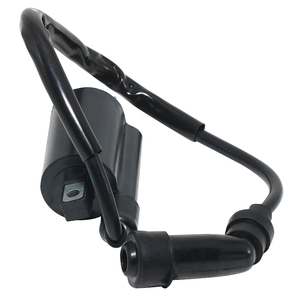 Bobine d'allumage de vtt bobine d'allumage de démarreur de moteur FBT pour <span class=keywords><strong>Suzuki</strong></span> anan250 AN400 Burgman Skywave 250 <span class=keywords><strong>400</strong></span> - Product Image 5