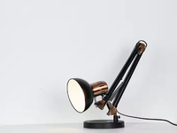 Lampe de bureau à économie d'énergie pour la protection des yeux du bras à angle réglable au design moderne pour la maison et l'hôtel.