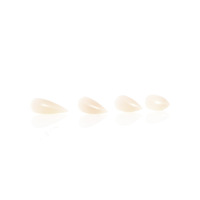 Dents de vampire en plastique pour Halloween, fausses dents de zombie, petits crocs, accessoires de maquillage COSPLAY pour enfant, vente en gros