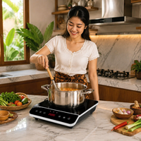 Cuisinière électrique infrarouge en céramique 2000W, brûleur unique, portable, 9 niveaux de puissance, commande tactile pour la cuisine à domicile