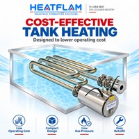 Brûleur à immersion compact HTX15 pour chaudières, gaz naturel, chauffe les liquides, gain de place, pour réservoirs d'eau chaude et systèmes de pulvérisation