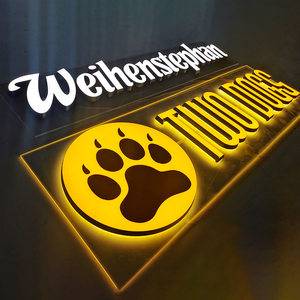 Insegna Luminosa 3D LED Personalizzata di Alta Qualità, Lettere in Acrilico 3D su Misura, Logo LED da Parete per Boutique e Uffici - Product Image 5