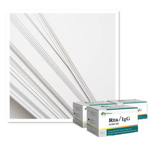 Carta Offset <span class=keywords><strong>70x100</strong></span> Stessa Qualità dell'Indonesia - Product Image 1