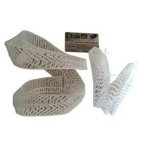 صنع عينات تصنيع نموذج أولي من البلاستيك السريع النايلون الصين خدمة الطباعة ثلاثية الأبعاد