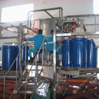 Oem Automatische 1-20 T/h Tomatenpuree Maken Tomatenverwerkingsmachine Ketchup Maken Machine Uit Concentraat