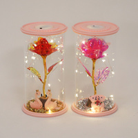 Rose éternelle sous cloche en verre avec lampe LED, décoration d'intérieur, mariage, Noël, Saint-Valentin