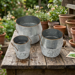 Luxury Home Living Room Desktop Decoration Galvanized Flower Pots With Handle Outdoor Indoor <b>Planter</b> <b>High</b> Standard Quality - Product Image 1