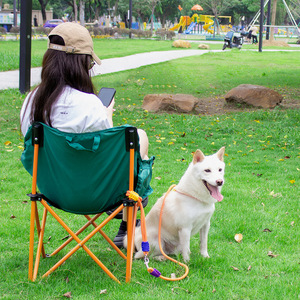 Hand-woven adjustable figure-eight double-loop <b>dog</b> <b>leash</b>, anti-escape <b>leash</b> for <b>dogs</b> and cats, chest harness - Product Image 2