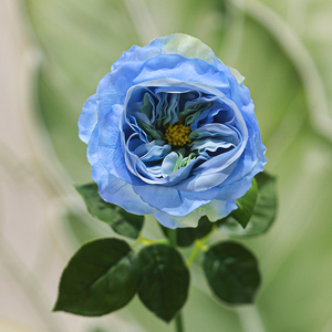 ดอกกุหลาบจูเลียตประดิษฐ์คุณภาพสูง ทำด้วยมือจากผ้าไหม ก้านเดี่ยว <span class=keywords><strong>ต</strong></span>กแ<span class=keywords><strong>ต</strong></span>่งบ้าน ใช้งานได้นาน เหมาะสำหรับวันแม่ วันวาเลนไทน์ วันปีใหม่ - Product Image 2