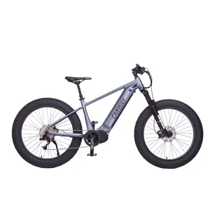 48v 750w 1000w八方电机e山地自行车mtb脂肪电动自行车