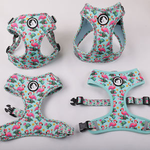 Leggero One Step in <span class=keywords><strong>Dog</strong></span> imbracatura guinzaglio produttore di Okeypets personalizzato regolabile in rete traspirante Pet fascia toracica - Product Image 4