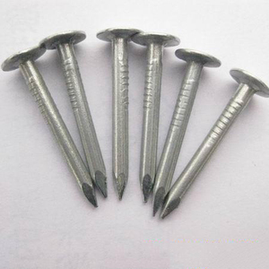 Pregos de Telhado de Feltro com Cabeça Extra Grande e Cabo Liso em Ferro Galvanizado - Product Image 5