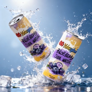Doux rafraîchissant sans sucre myrtille soda <span class=keywords><strong>eau</strong></span> SLEEK330 peut service <span class=keywords><strong>de</strong></span> personnalisation avec une grande méticulosité - Product Image 2