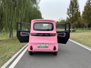 LIANGJI Mini <span class=keywords><strong>furgoneta</strong></span> eléctrica de 4 <span class=keywords><strong>plazas</strong></span> para adultos, coche de dos puertas con asientos de cuero y batería trasera, <span class=keywords><strong>precio</strong></span> barato, vehículo de nueva energía - Product Image 3