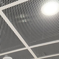 Feuille de conception de grille de fenêtre en treillis métallique déployé en forme de diamant personnalisé pour barbecue