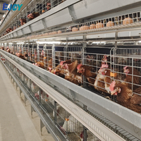 Cage à poules pondeuses automatique galvanisée à chaud, cage en batterie pour volailles, équipement complet pour ferme avicole