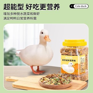 อาหารสัตว์เลี้ยงสำหรับลูกเป็ดและลูกไก่ สูตรโภชนาการสมดุล สำหรับเป็ด อาหารสัตว์ขนาดเล็ก วัสดุพลาสติกนำกลับมาใช้ใหม่ได้ - Product Image 5