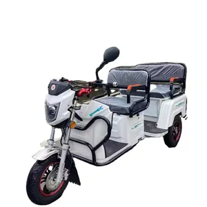 New Dual China Use Electric Pedicab Adult Tricycle for Passenger and Cargo Wholesale Electric E Trike Pedicab