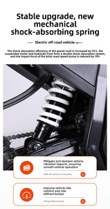 จักรยานยนต์วิบากแบบไร้แปรงถ่าน 1000W รุ่นใหม่จาก EU สำหรับผู้จัดจำหน่ายในพื้นที่ - Product Image 3