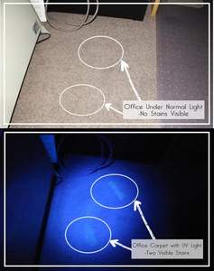 Linterna UV LED Mini al por Mayor, Luz Negra 395nm Q5, Linternas Tácticas de Aluminio para Verificar Dinero - Product Image 2