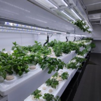 Skyplant Smart Automatic Farm Grow Hydroponique Culture en eau profonde Système agricole vertical 40ft Shipping Container Farm