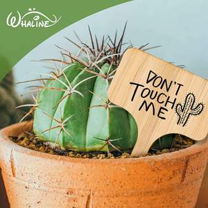 Vente en gros de nouveaux marqueurs d'identification de plantes de <span class=keywords><strong>jardin</strong></span> Offre Spéciale étiquettes de plantes en bambou - Product Image 4