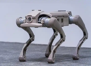 หุ่นยนต์สุนัขอัจฉริยะ AgiBots D1 <span class=keywords><strong>Pro</strong></span> ยอดนิยม พร้อมท่าทางไดนามิกหลากหลาย รองรับการเชื่อมต่อเพิ่มเติม เหมาะสำหรับนักพัฒนาและงานวิจัย มีสินค้าพร้อมส่ง - Product Image 6