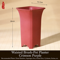 Pot de fleurs carré en résine 15,7 cm, plusieurs trous de drainage, écologique, style chinois simple, pour utilisation sur bureau ou dans un jardin, idéal pour orchidées et bonsaïs