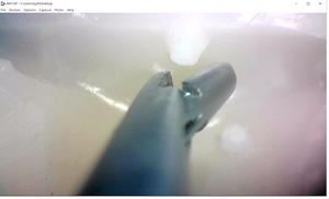 רפואי מדע היסטרוסקופיה סימולציה אימון מכשיר להוראה אדם דגם של גינקולוגיות hysteroscopic ניתוח - Product Image 4