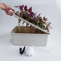 Mini kit de jardin hydroponique pour la maison, système de culture de légumes et de fleurs pour balcon, boîte à semis à 11 trous, jardinières sans terre, auto-arrosantes