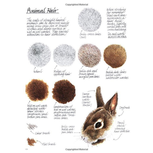 Lot <span class=keywords><strong>de</strong></span> crayons <span class=keywords><strong>de</strong></span> couleur en bois <span class=keywords><strong>Polychromos</strong></span> personnalisables pour enfants, vente en gros, 12, 24, 36, 48, 72 pièces - Product Image 5