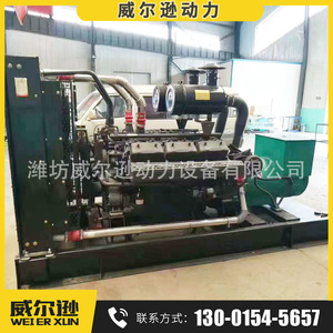 เครื่องกำเนิดไฟฟ้าดีเซลเซี่ยงไฮ้ 800 กิโลวัตต์ สำหรับอุตสาหกรรมเหมืองแร่ ใช้ไฟ 50 เฮิรตซ์ 1500 รอบต่อนาที 400/230 โวลต์ - Product Image 4