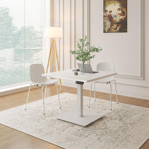 Escritorio de Computadora Ergonómico de Una Sola Pata, Ajustable en Altura con un Solo Motor, Modelo 2026 - Product Image 1