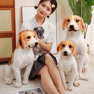 Peluche chien <span class=keywords><strong>Beagle</strong></span> super douce avec détails brodés, jouet en peluche réaliste avec rembourrage en coton PP pour soulager le stress - Product Image 2