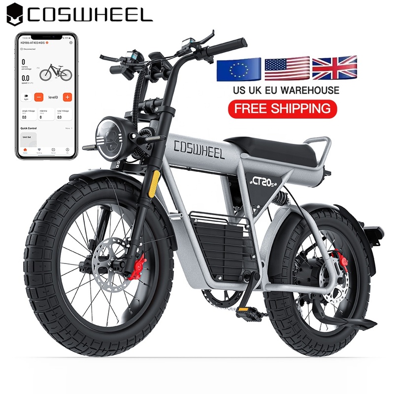 Coswheel T20 Fat Vintage E bikes