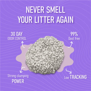 Leverancier Stofvrije Sterk Klontvormende Bentoniet Klei Kattenbakvulling Premium Lavendelgeur Merk OEM - Product Image 4