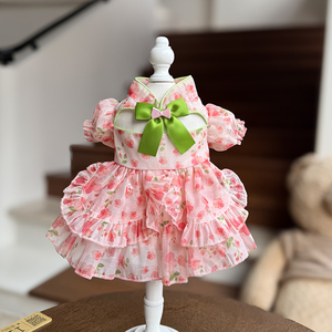 Robe de princesse légère pour <span class=keywords><strong>chien</strong></span> <span class=keywords><strong>Papillon</strong></span>, jupe tutu florale pour animaux de compagnie, pour chats et petits chiens, robe respirante pour <span class=keywords><strong>chiot</strong></span>, pour l'été, à porter au quotidien - Product Image 6