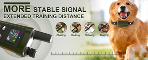 <span class=keywords><strong>Collier</strong></span> de dressage électrique étanche IPX7 rechargeable de 3500FT avec télécommande 4 modes d'entraînement Construction en plastique - Product Image 3