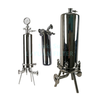 Filtre sanitaire fin 0,2-0,45 µm pour filtration de boissons, en acier inoxydable SUS316L, cuve sous pression, à cartouche simple ou multiple