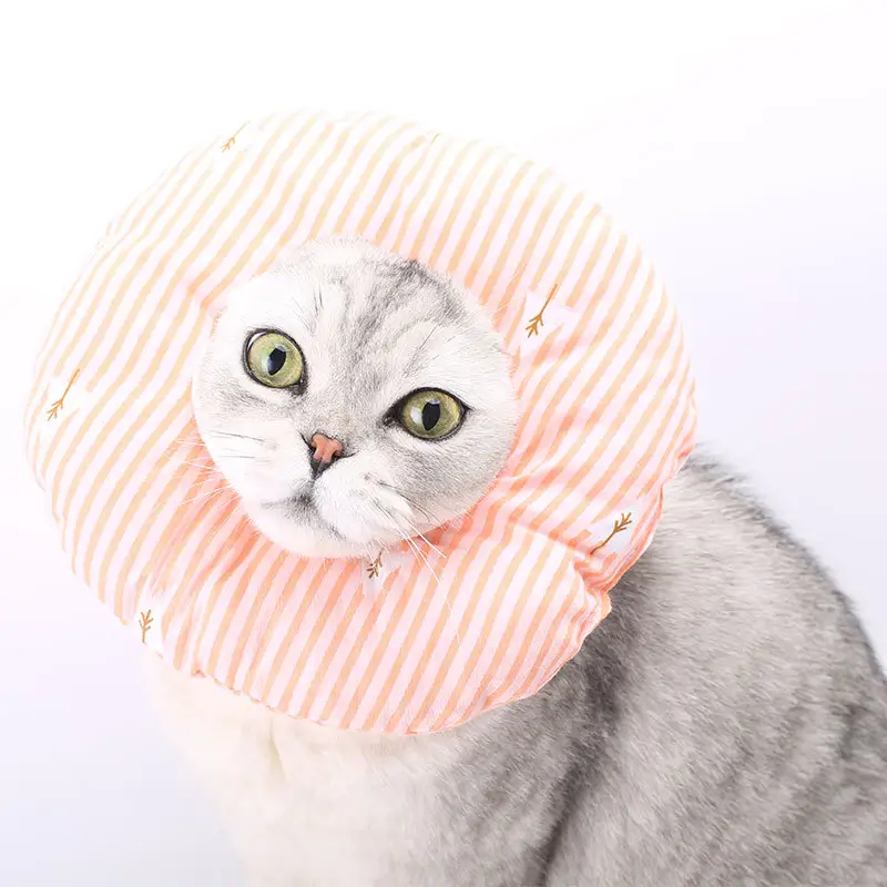 Cute pet soft neck collar cat protection fastener collar Eliza cat collar head gear for pet protection