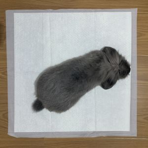 Günstigstes grünes Pad und nasses Haustier/wasch bares Haustier Urin Pad Stoßdämpfer Training Haustier angemessener Preis cooles Haustier Pad/Sommer kühlung Haustier Eis Pad - Product Image 6