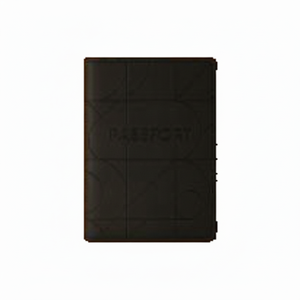 Funda de cuero PU para pasaporte con impresión de nombre - Product Image 1