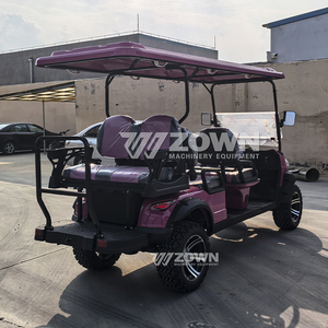 Voiturette de golf électrique ZOWN 4 places, batterie 48V, couleur personnalisée, navette pour hôtel et parc, buggy, garantie 2 ans, attractions touristiques - Product Image 4