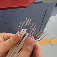 Manuelle Kontinuierliche Steckverbinder-Extrusionsmaschine (Zweikernige Steckverbinder-Stanzung und Gehäuseeinführung)