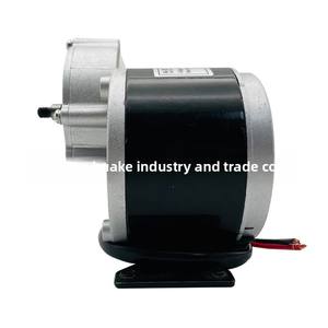 Lingying มอเตอร์ไฟฟ้า24V 250W เพลาสั้นแบบมีแปรงถ่าน <span class=keywords><strong>My1016Z2</strong></span>แม่เหล็กถาวรสไตล์ yunet - Product Image 4