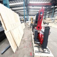 Vente en gros d'usine : Mini-grues télescopiques hydrauliques mobiles à flèche droite de 5 tonnes avec une hauteur de levage de 13 m